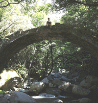 die Genuesenbrcke in der Speluncaschlucht